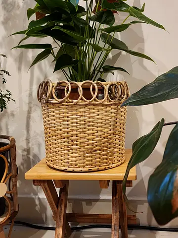 Handwoven Rattan Plant Basket