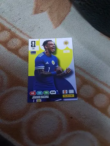 Panini