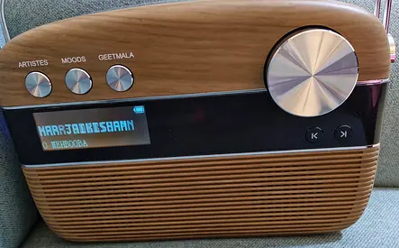 Carvaan Saregama Hindi Player with 5000 Preloaded Songs, FM/BT/AUX
