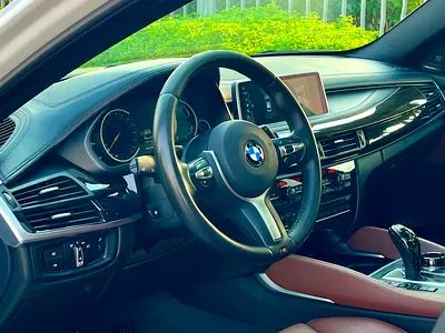 2018 BMW X6 缩略图 8