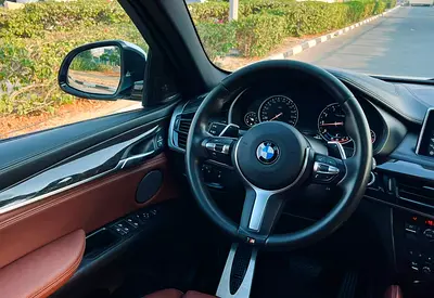 2018 BMW X6 缩略图 12