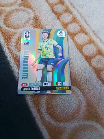 Panini