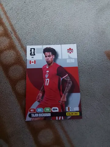 Panini