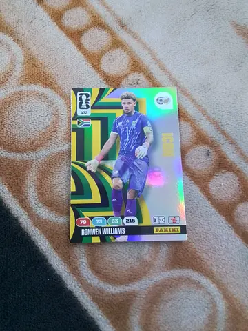 Panini
