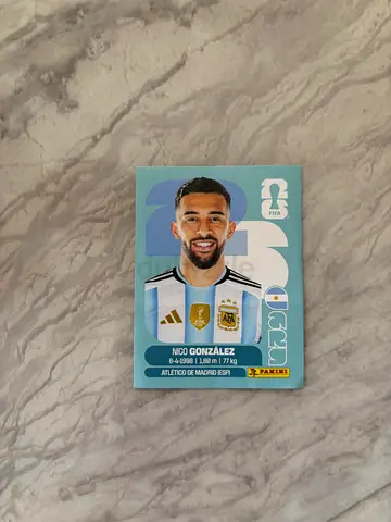 Panini World Cup Sticker - Nico González (Argentina) - Mint Condition