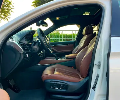 2018 BMW X6 缩略图 14