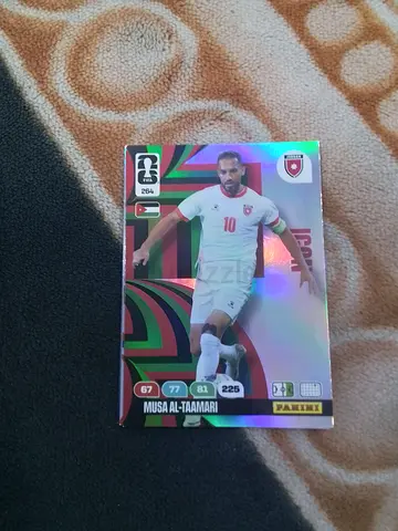 Panini
