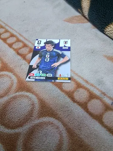 Panini
