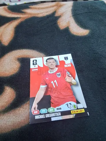 Panini