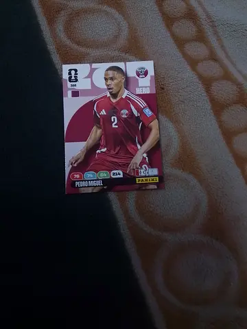 Panini