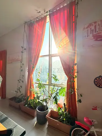 Orange Curtains Black out  — Good Condition