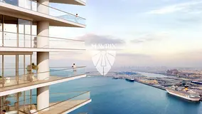 Spacious 1BR | Best Deal | High ROI | Waterfront