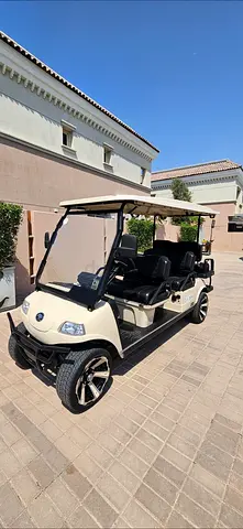 6 Seater Amazing Golf Cart- Fully Serviced- Speakers- TV Monitor - BRAND NEW LITHIUM BATTERY