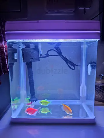 Aquarium with fish and food for sale only one month used