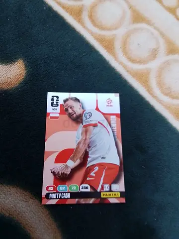 Panini