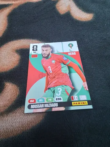 Panini