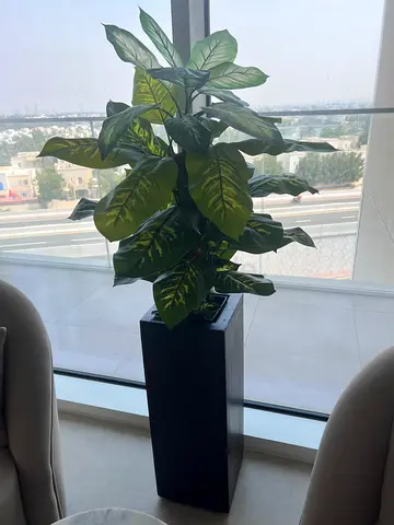 artificial plants
