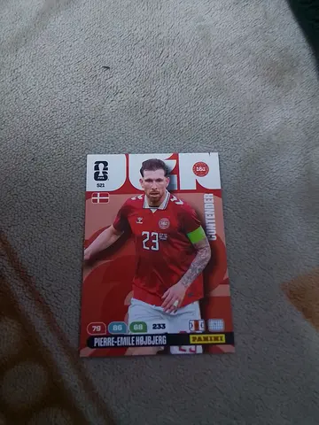 Panini