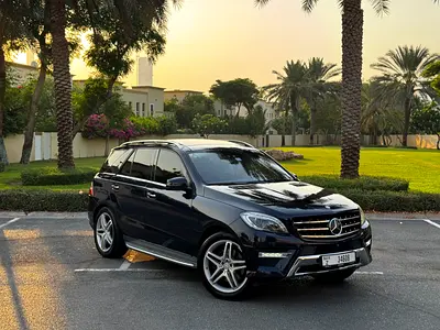 2014 Mercedes-BENZ M-CLASS 照片 4