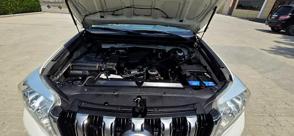 2017 Toyota PRADO 缩略图 19