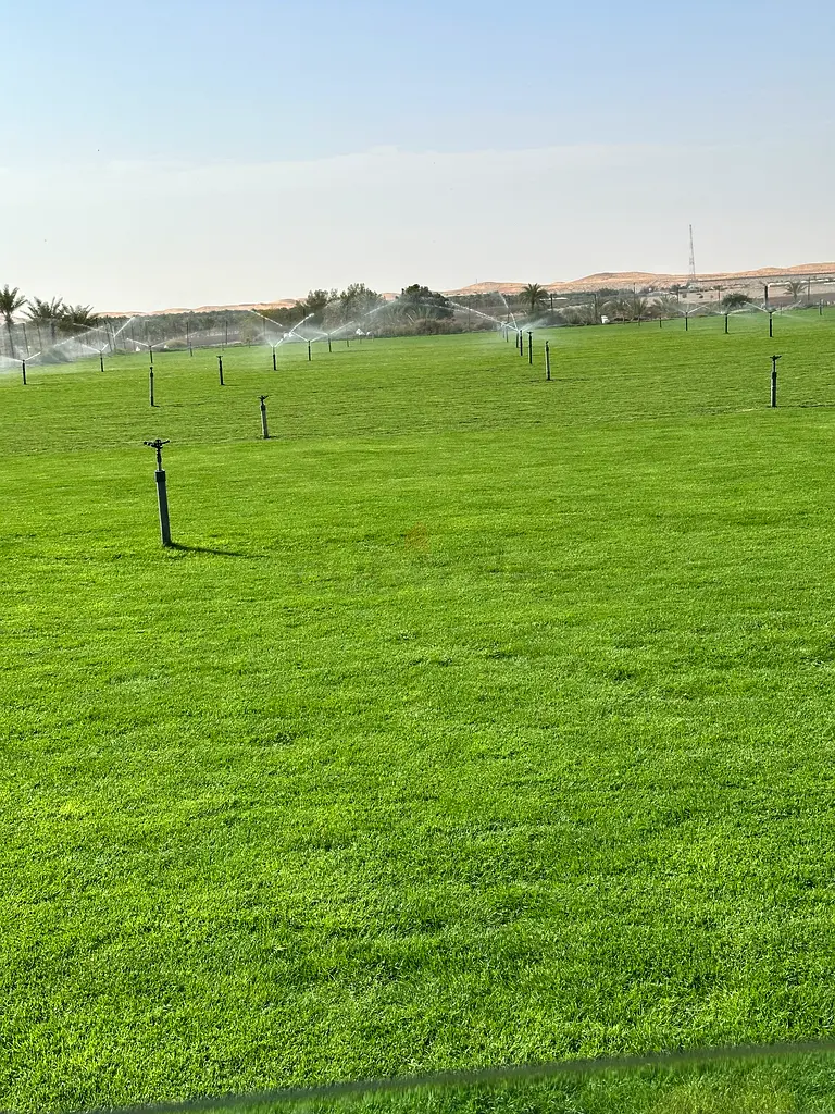 DPV_View_Image_2