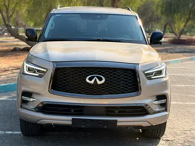 2024 Infiniti QX80 照片 2