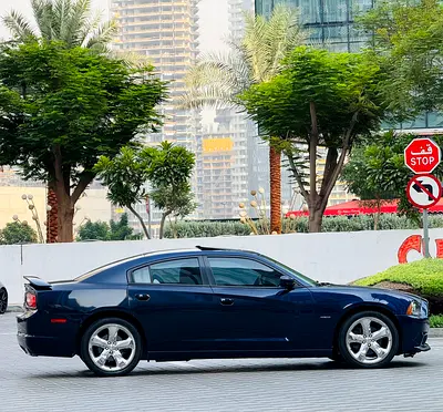 2014 Dodge CHARGER 照片 11
