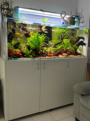 Aquarium full set with Cabinet