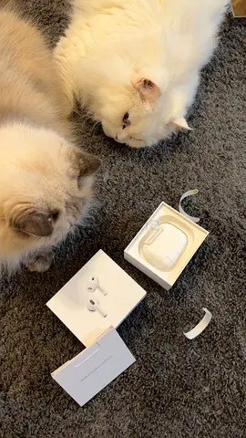 Brand New Apple Airpods Pro 3 (2026)