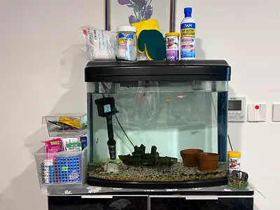 Fresh water Aquarium - with all accessories