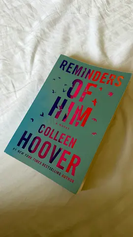 Reminders of him novel by Colleen Hoover