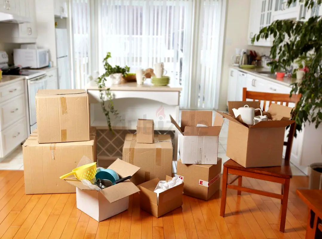 DPV_View_Image_0