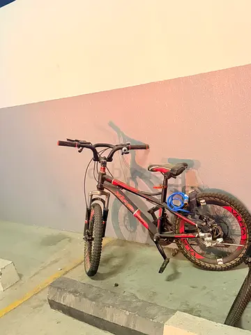 Cycle