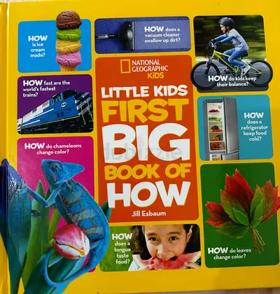 Big book of How