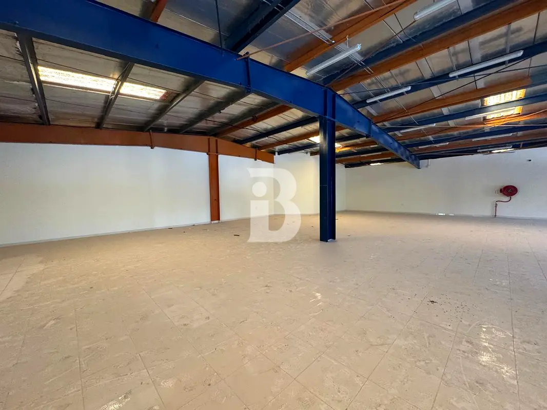 gallery-image