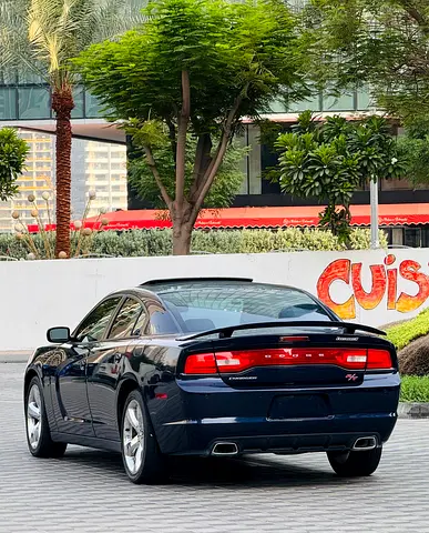 2014 Dodge CHARGER 照片 7