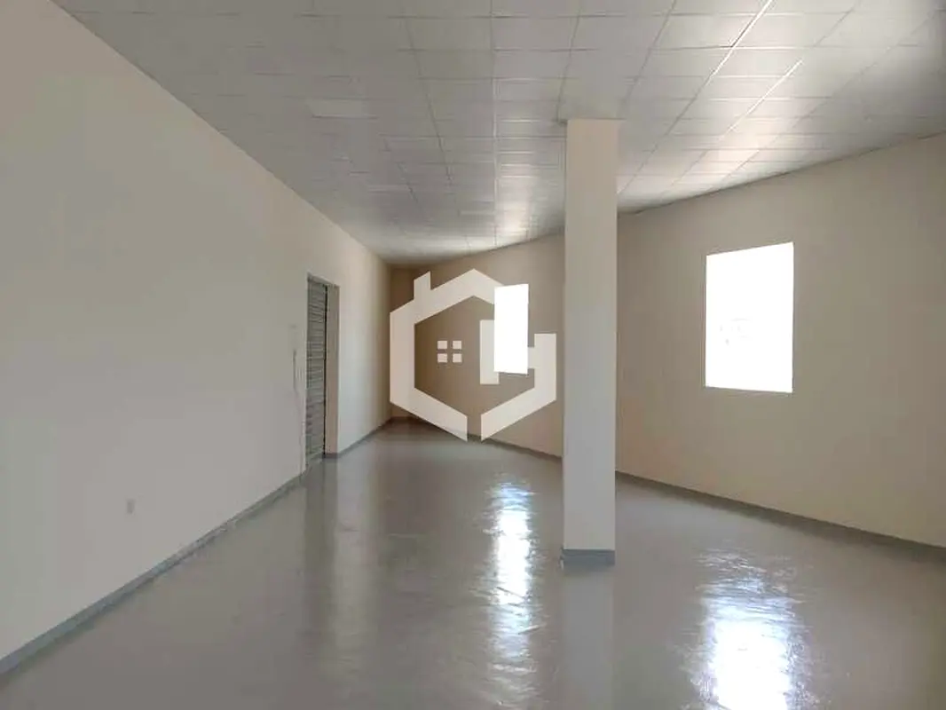 gallery-image