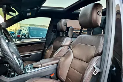 2014 Mercedes-BENZ GL 照片 11