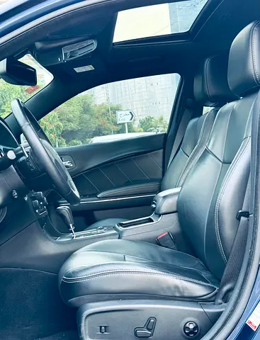 2014 Dodge CHARGER 照片 12