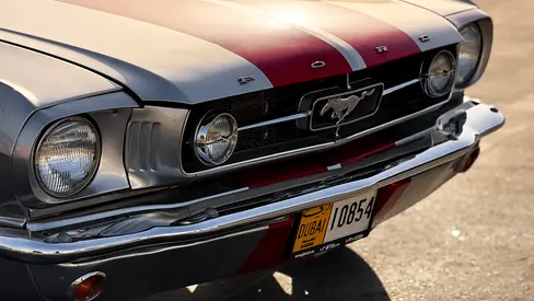 1965 FORD MUSTANG 照片 14