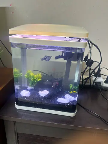 Small Fish Tank Aquarium with Filter and Light