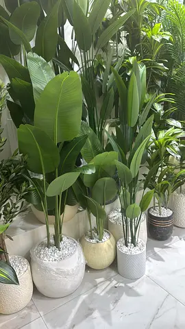 Brand new decorative tall artificial plants in pots