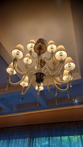 Barovier Toso Chandeliers Amsterdam Collection X2