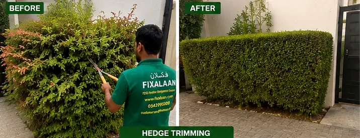 Garden Restoration Maintenance