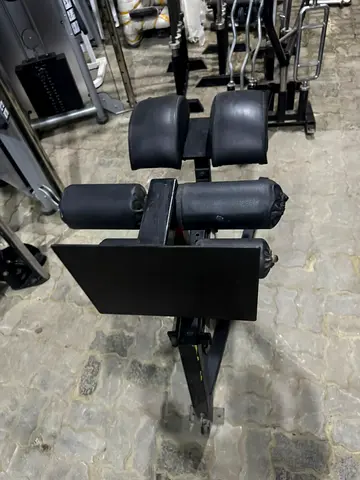 Roman Chair / Hyperextension Back Extension Bench - Used