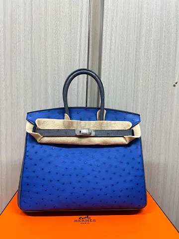 Hermès Birkin 25 ostrich leather bag