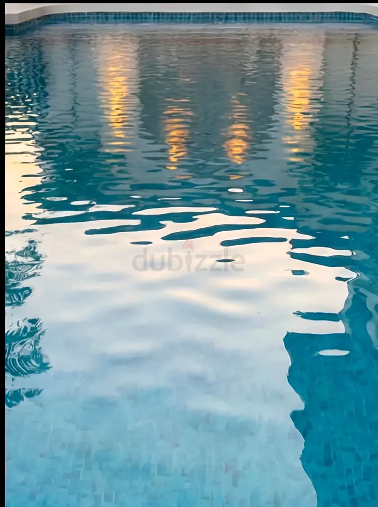 DPV_View_Image_7