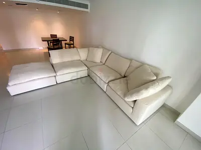 Modular luscious feather 🪶 filled sofa