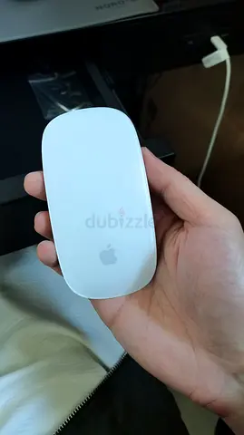 Apple mouse