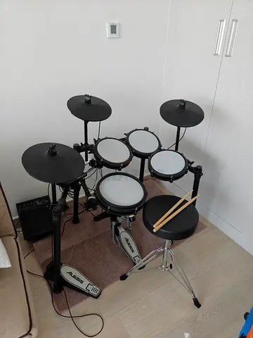 Alessis nitro max drum kit
